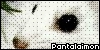 Pantalaimon-Fanlisting